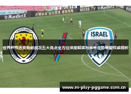 世界杯预选赛最新战况五大亮点全方位深度解读与未来走势展望权威精析